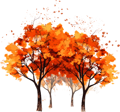 秋天的大树插画