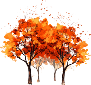 秋天的大树插画
