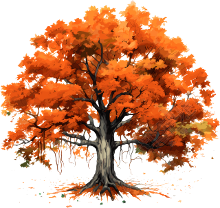 秋天大树手绘插画素材