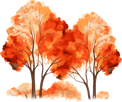 秋天白底橙色大树手绘插画
