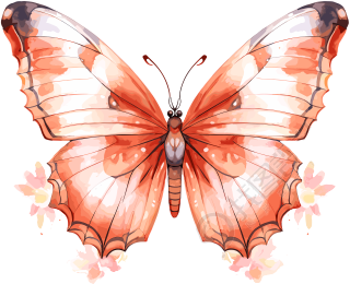 水彩波西米亚风蝴蝶元素图案