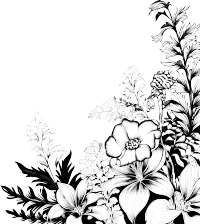 绿植叶花黑线插画设计