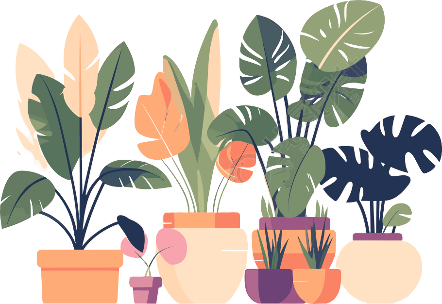 植物收藏风格平面插画设计
