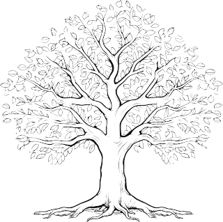 大树枝与叶的黑白插画设计素材