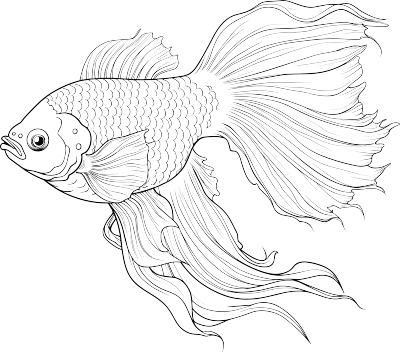卡通风格的翅膀鱼插画
