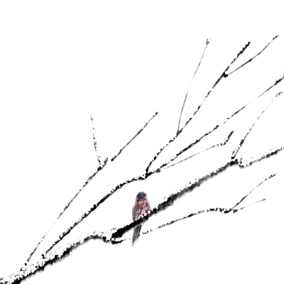 小寒时节枯树枝上的小鸟PNG插画