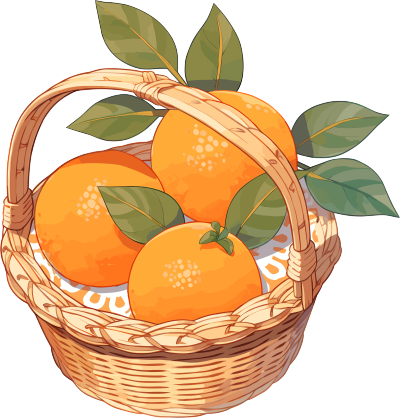篮子里的橙子插图