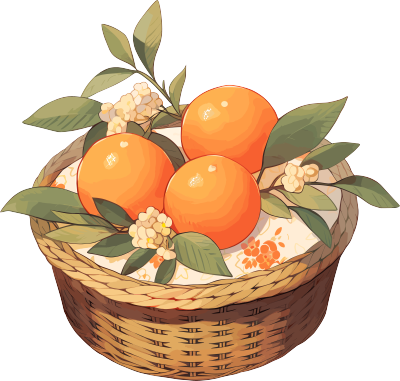 篮子里的橙子透明背景插画