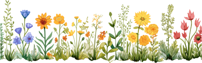 植物花边卡通插画图案素材