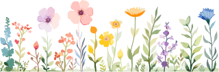 植物花边插画设计素材