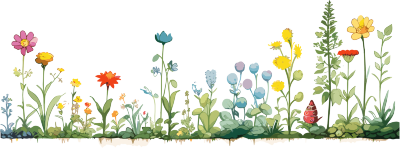 植物花边优雅绘本插画