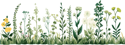 植物花边高清图形素材