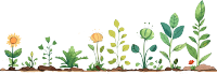 植物花边插画设计元素