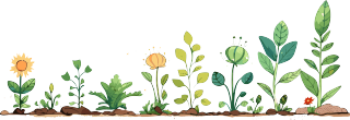 植物花边插画设计元素