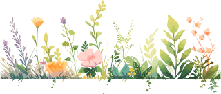 植物花边图案素材