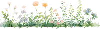 植物花边白底素材