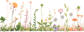 植物花边高清质量插图