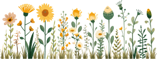 植物花边商用插画素材