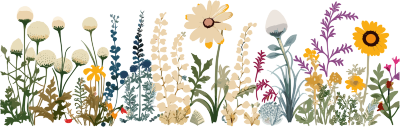 植物花边白色背景素材