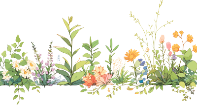 植物花边商用插图设计