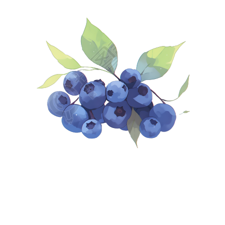 蓝莓2D图形素材