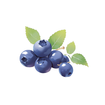 蓝莓清新明亮商业设计素材