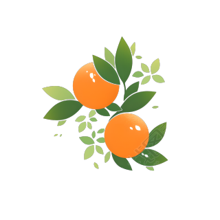 橙子2D图形插画