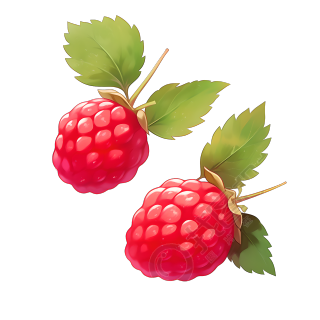 树莓插画设计素材