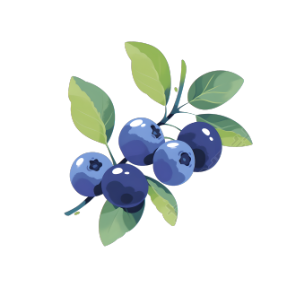 蓝莓插画素材