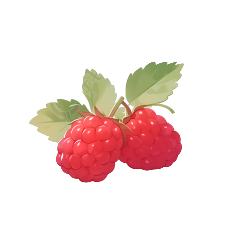 树莓2D图形插画素材