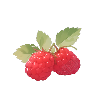 树莓2D图形插画素材