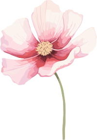 水彩花卉高清透明背景插画