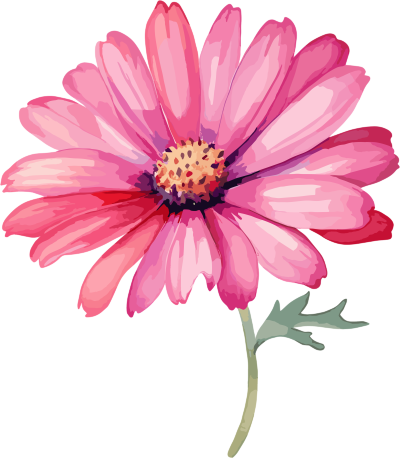 水彩花卉高清PNG图标元素