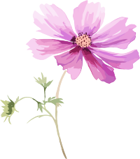 水彩花卉创意设计插画