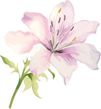 水彩花卉设计元素插画