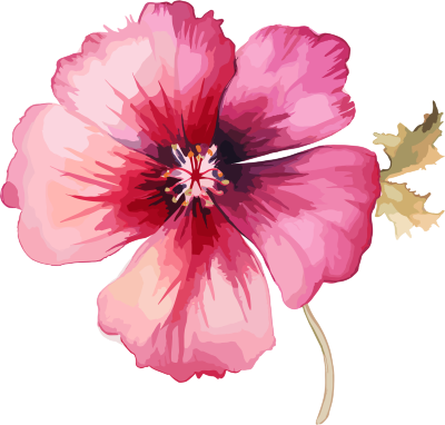 水彩花卉PNG插图