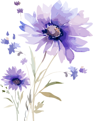 水彩花卉PNG图形素材