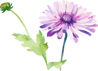 水彩花卉创意图形素材