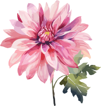 水彩花卉创意设计元素