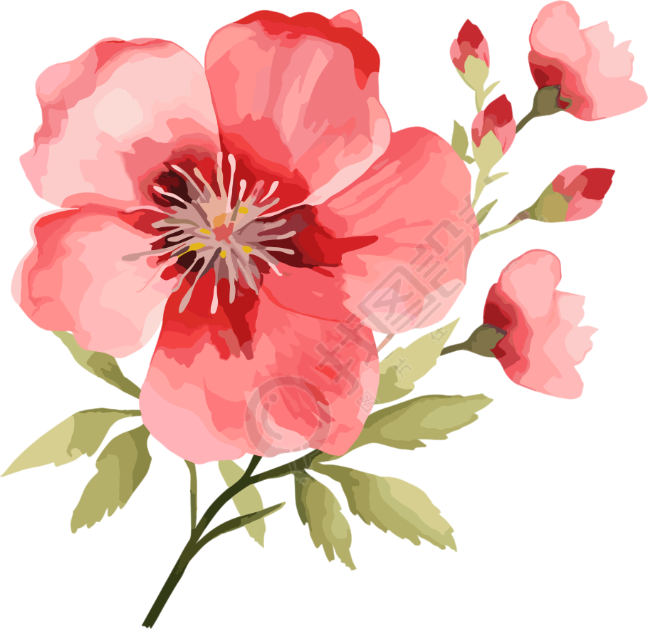 水彩花卉高清PNG图形素材