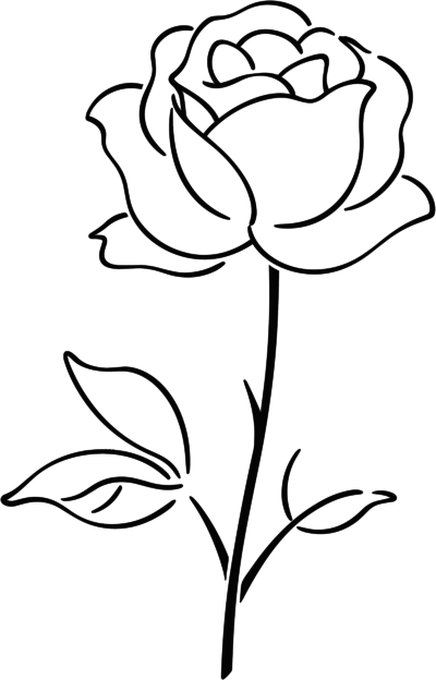 线条玫瑰花元素