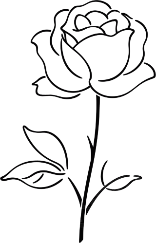 线条玫瑰花元素