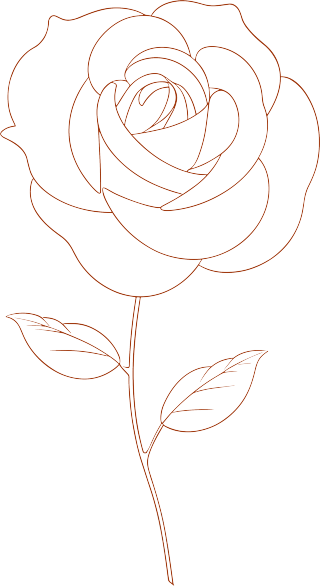 线条玫瑰花高清透明背景素材