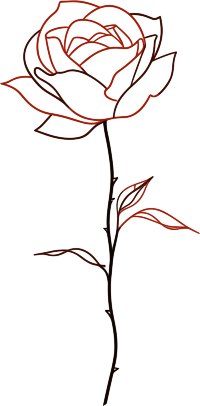 线条玫瑰花商业插图