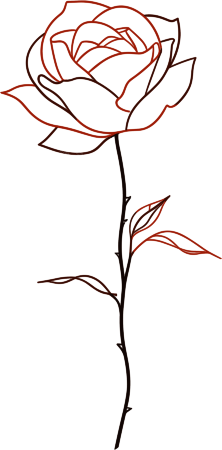 线条玫瑰花商业插图