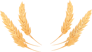 小麦透明PNG图标素材