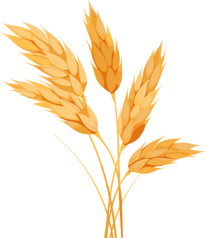 小麦商用设计元素