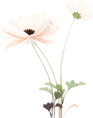 线条花朵柔和插图