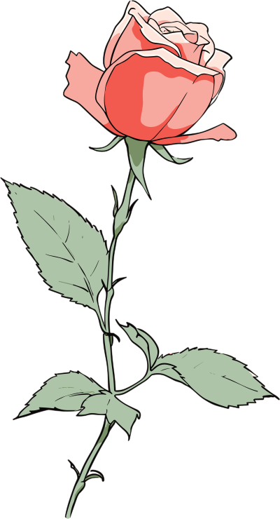 一朵玫瑰花绘画素材
