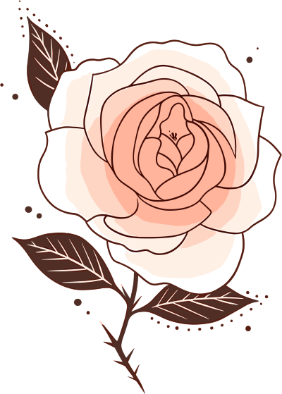 一朵玫瑰花透明背景插画